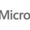 Microsoft Accessories PC and Laptop Brand Model WINSVR STD 2019 SPA 4CR APOS ADDLIC