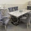 Msmfurniture LUXURY ARIANA MARBLE DINING TABLE WITH 4-6-8 CHAIRS SET- ARIANA MARBLE DINING TABLE WITH 4-6 CHAIRS SET (2M TABLE WITH 8 CHAIRS) (Light Grey, 2M Table With 8 Chairs)
