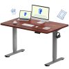 FLEXISPOT Electric Standing Desk Height Adjustable Sit Stand Up Desk Adjustable Desk for Home Office EG1 (120 * 80cm, Silver Frame+ Mahogany Desktop)