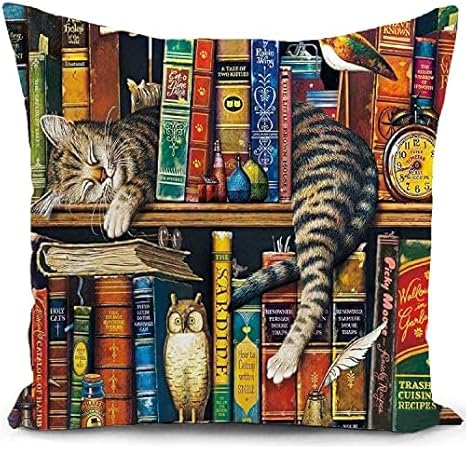 HUASHUZI Cushion Cover Cat Gifts for Cat Lovers Women Book Lovers Gifts Bookshelf Decor Throw Pillow Case Cat Sleeping Reading Study Decorations Home for Livingroom Couch Sofa...