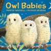 Owl Babies