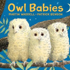Owl Babies