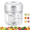Mini Food Chopper, Small Blender Electric Garlic Chopper 250ml Mini USB Charging Portable Onion Garlic Choppe, Small Food Processor and Blender for Vegetable Fruit Garlic Onion...