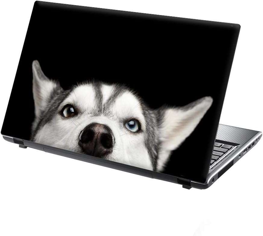 15/15.6 inch (38cm x 25.5cm) Taylorhe Laptop Skin Protective Decal Spirit of The Sky Tiger
