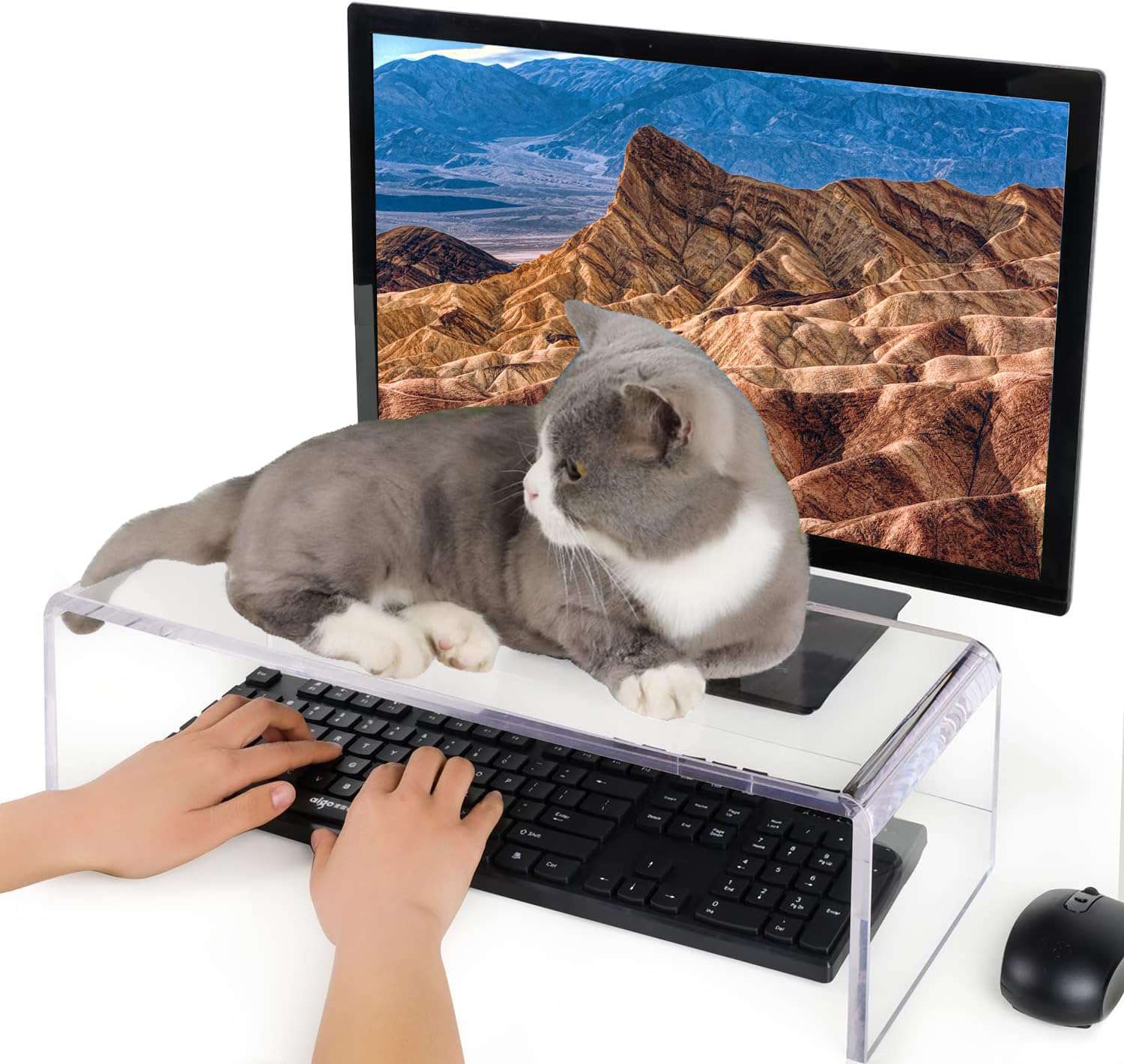 Anti-Cat keyboard cover, laptop keyboard covers cat proof, clear keyboard protector, PC Desk Stand for Keyboard Storage acrylic Monitor Stand Riser and Laptop Stand Riser...