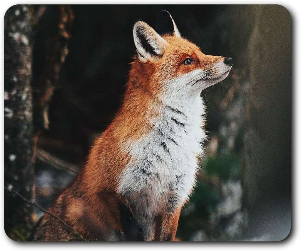 Crafty Ginger Fox in Forest Mouse Mat Pad Computer PC Laptop Gaming Office Home Desk Accessory Gadget 2829
