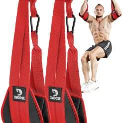 DMoose Fitness Hanging Ab Straps for Pull Up Bar & Core Strength Training-Soft Padded Exercise Straps for Ab Swing & Leg Raises, Hang Bar Strap with 2 Steel Carabiners - Abs...