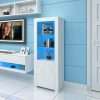 Panana One Door Two Glass Shelves Sideboard Cupboard Unit Cabinet With 16 Colors RGB LED (White)