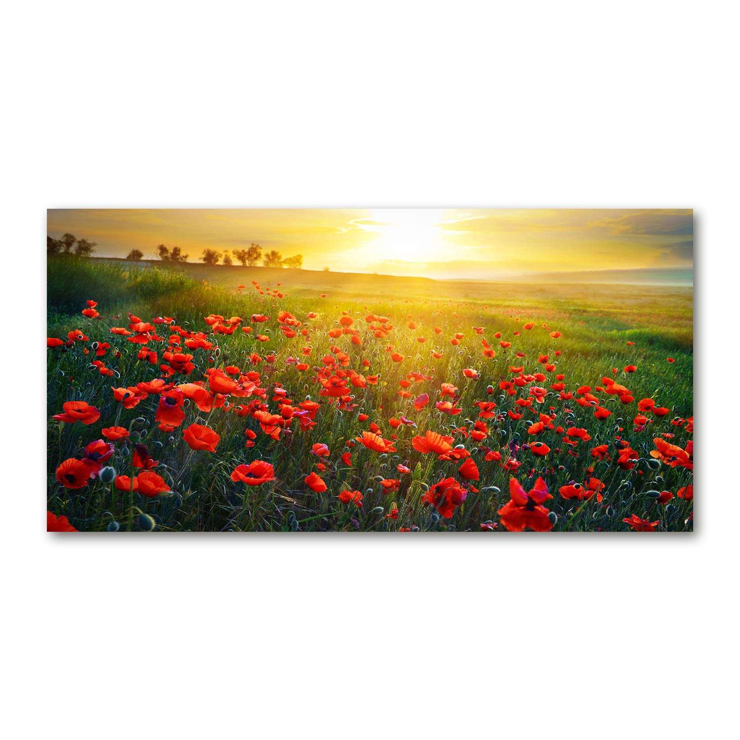 Tulup Splashback 39.37x19.68 inch / 100x50cm Splash-back Kitchen Panel Toughened Safe Glass Tempered Glass Kitchen Protection Induction Cooker Wall Protection Glass Panel - Red...