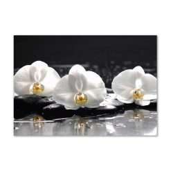 Tulup Splashback 39.37x27.56 inch / 100x70 cm Wall Protection Toughened Safe Glass Splash back Kitchen Panel Tempered Glass Kitchen Protection Induction Cooker Glass Panel -...