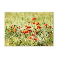 Tulup Splashback 39.37x27.56 inch / 100x70 cm Wall Protection Toughened Safe Glass Splash back Kitchen Panel Tempered Glass Kitchen Protection Induction Cooker Glass Panel - Red...