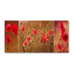 Tulup Splashback 55.12x27.56 inch / 140x70 cm Glass Panel Wall Protection Induction Cooker Tempered Glass Toughened Safe Glass Kitchen Panel Splash back Kitchen - Red - poppies