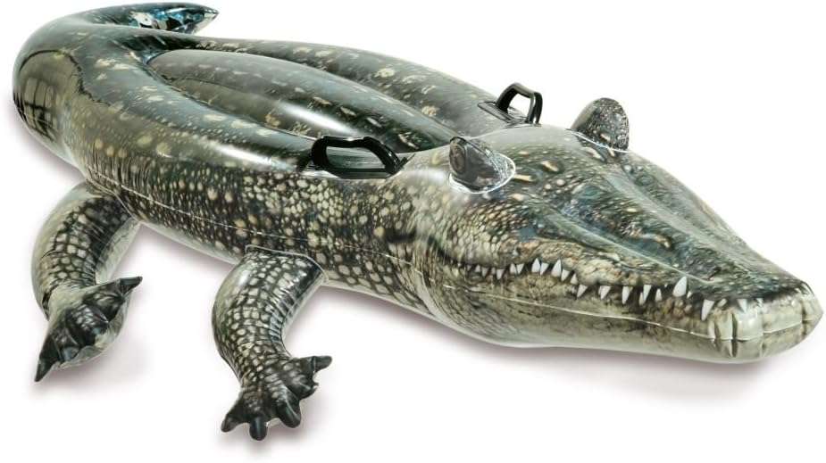Intex, Realistic, Photo Printed, Inflatable Gator Ride-On, 170 x 86cm, Inflatable Pool Toys, Ages 3+
