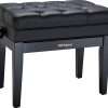 ROLAND Rpb-500Pe Piano Bench with Vinyl Seat And Music Compartment, Polished Ebony, 64.5 X 37.5 X 25 Cm