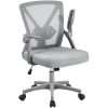 Yaheetech Office Ergonomic Desk Chair Comfy Swivel Computer Chair with Flip-up Armrest Lumbar Support & Adjustable Height for Home and Study, Gray